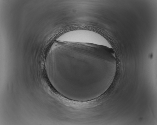 X0000115660039200912031342