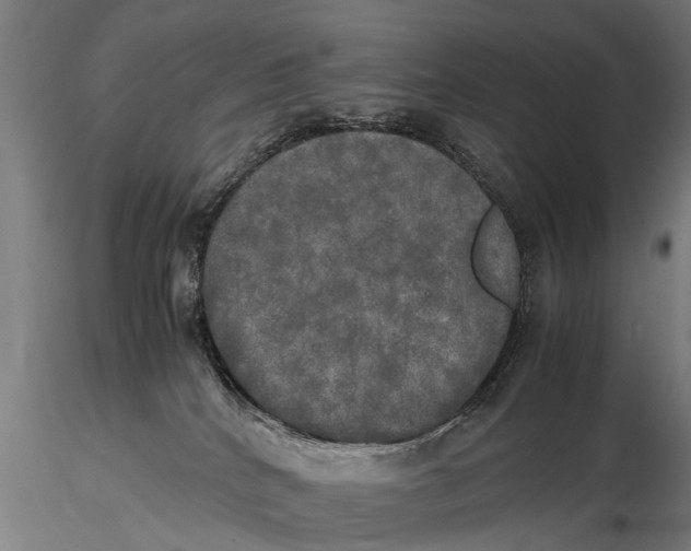 X0000115660040200912031342