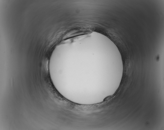 X0000115660041200912031342