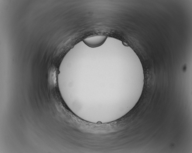 X0000115660042200912031342