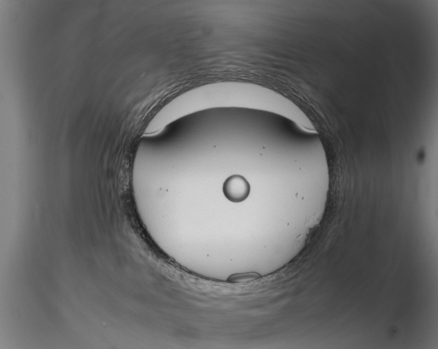 X0000115660043200912031342