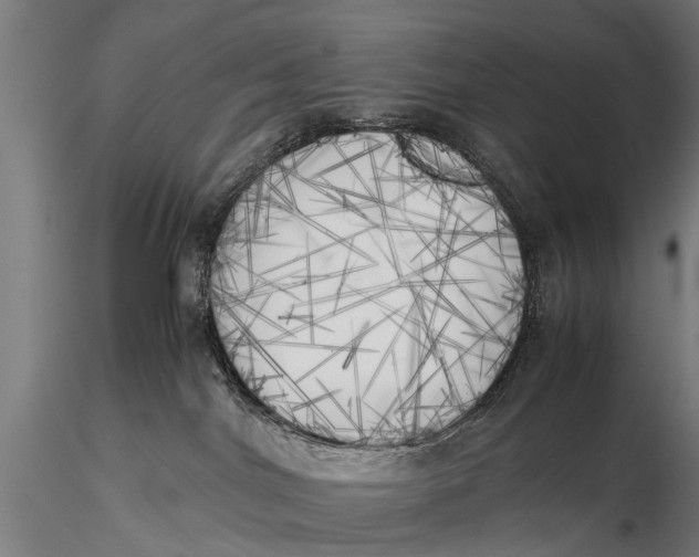 X0000115660044200912031342