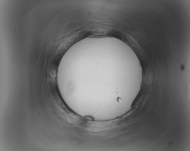 X0000115660045200912031342