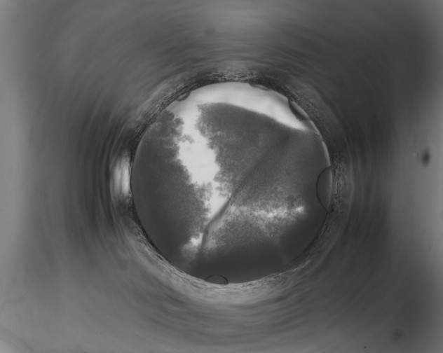 X0000115660046200912031342