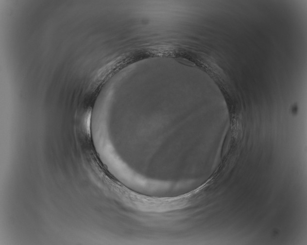 X0000115660047200912031342