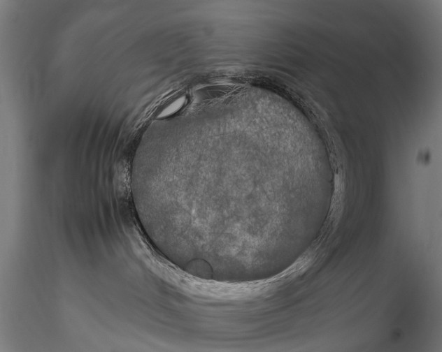 X0000115660048200912031342