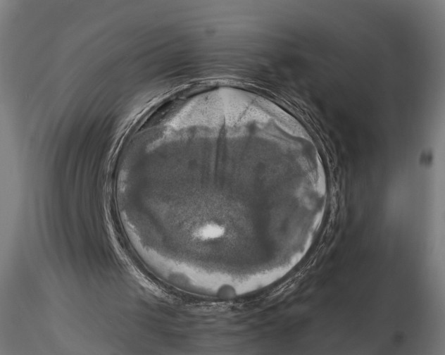 X0000115660049200912031341