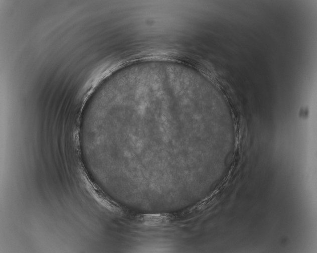 X0000115660050200912031341