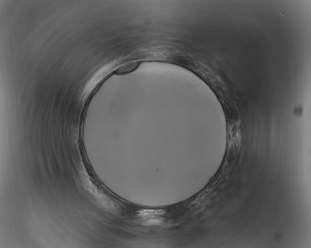 X0000115660051200912031342