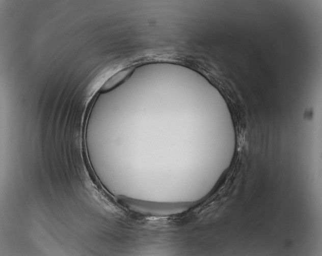 X0000115660052200912031342