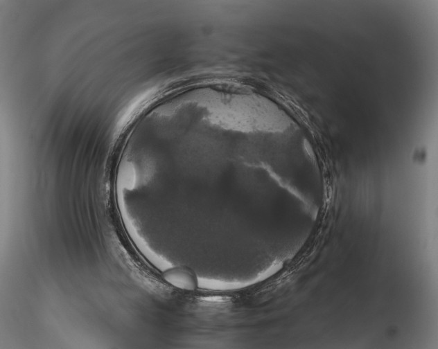 X0000115660053200912031342