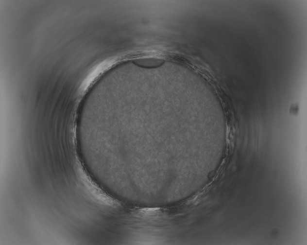 X0000115660054200912031342