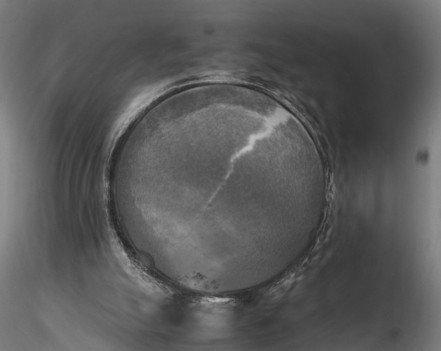 X0000115660055200912031342