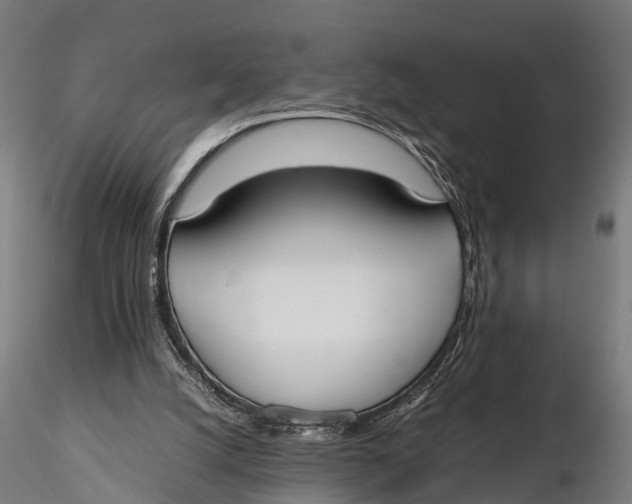 X0000115660056200912031342