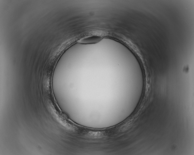 X0000115660057200912031342