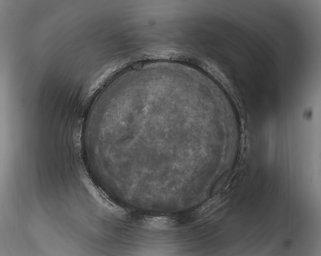 X0000115660058200912031342