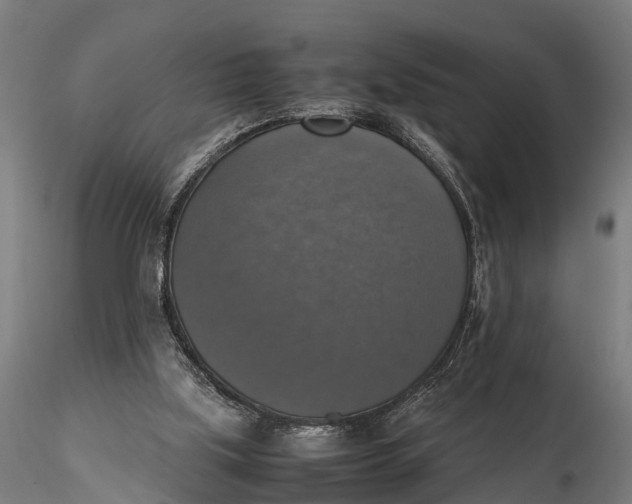 X0000115660059200912031342