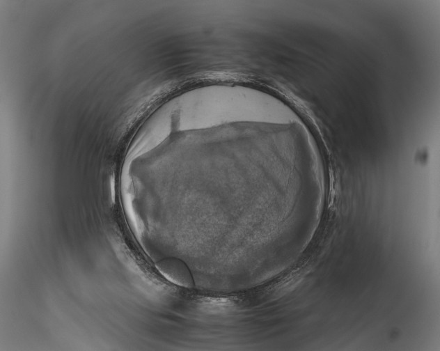 X0000115660061200912031342