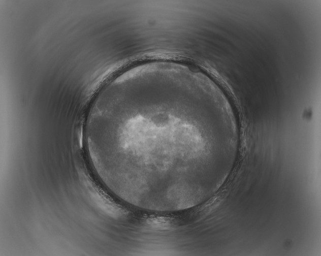 X0000115660062200912031342