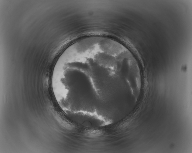 X0000115660063200912031342