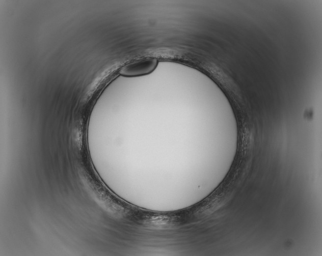 X0000115660064200912031342