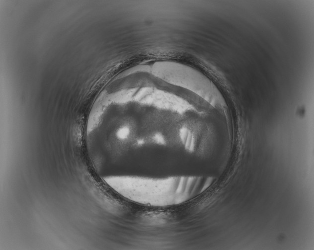 X0000115660065200912031342