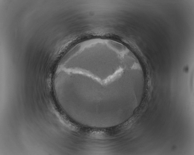 X0000115660066200912031342