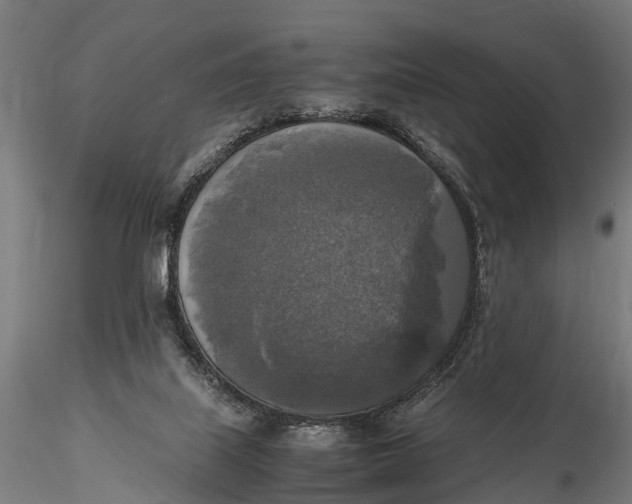 X0000115660067200912031342