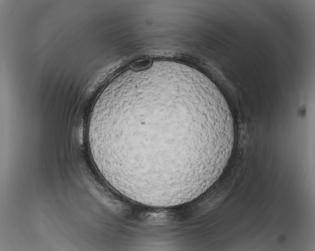 X0000115660068200912031342