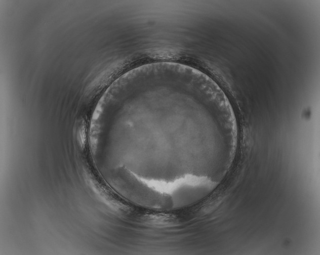 X0000115660069200912031342