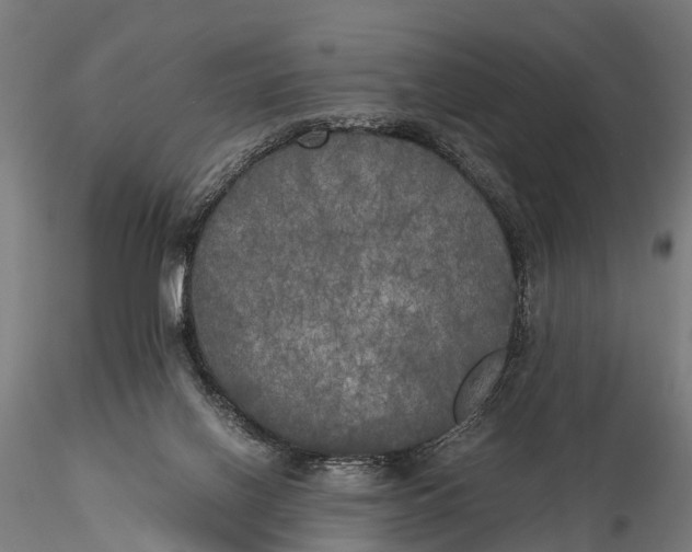 X0000115660070200912031342