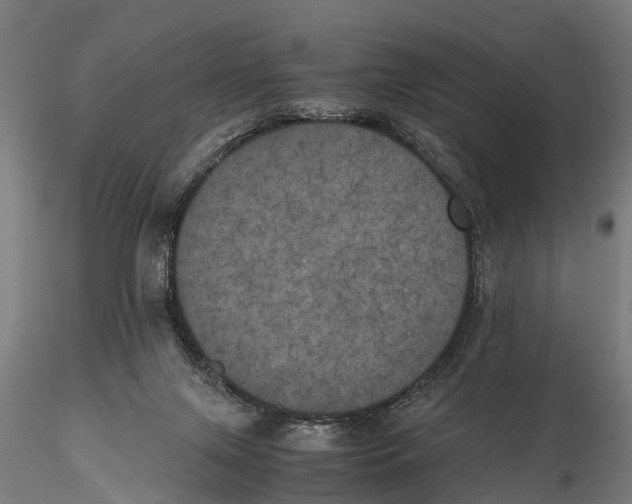 X0000115660071200912031342