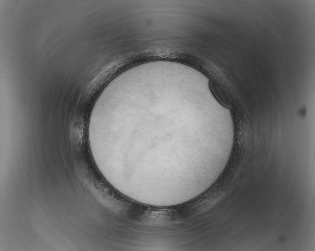 X0000115660072200912031342