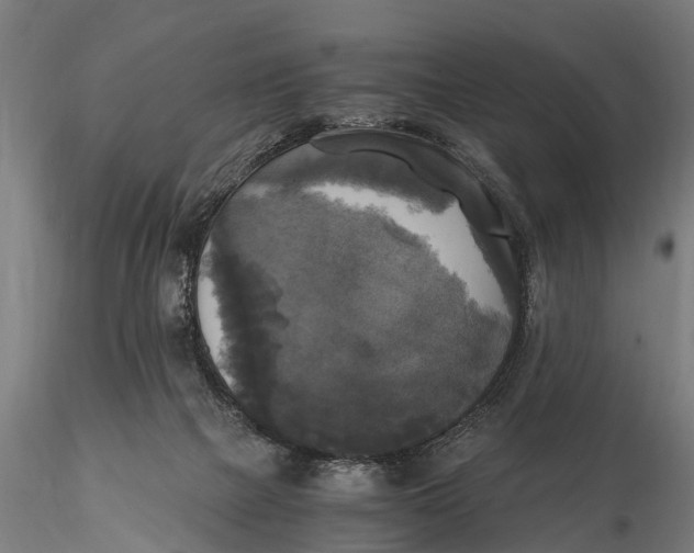 X0000115660073200912031342