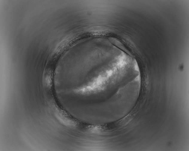 X0000115660074200912031342