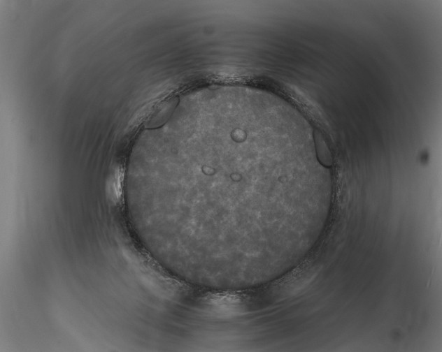 X0000115660075200912031342