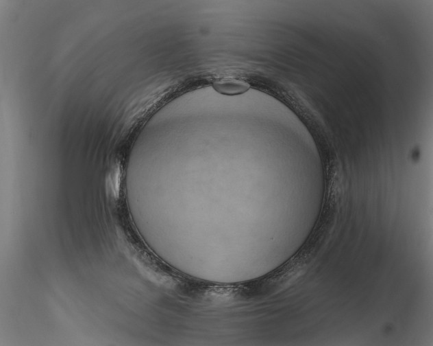 X0000115660076200912031342