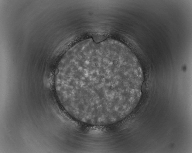 X0000115660077200912031342