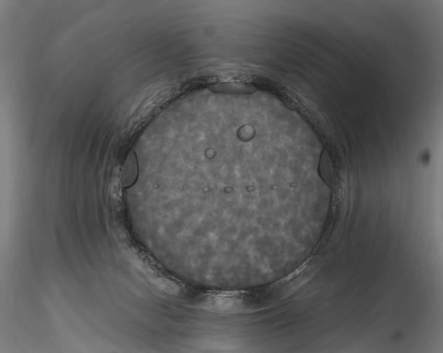 X0000115660078200912031342