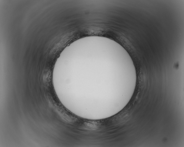 X0000115660079200912031342