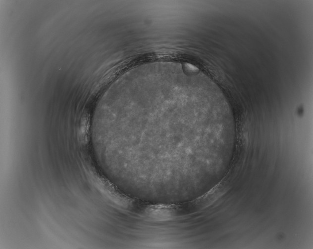 X0000115660082200912031342