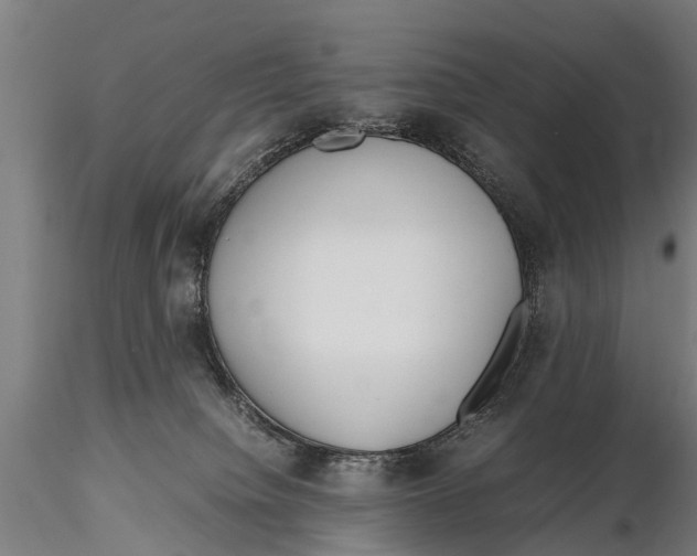 X0000115660084200912031342