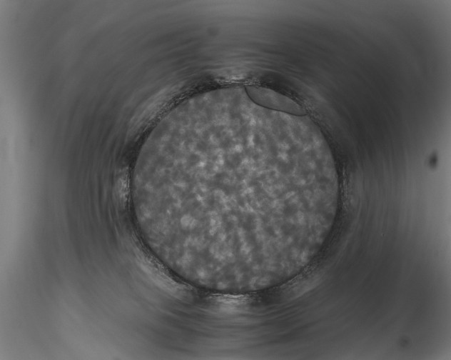 X0000115660085200912031342