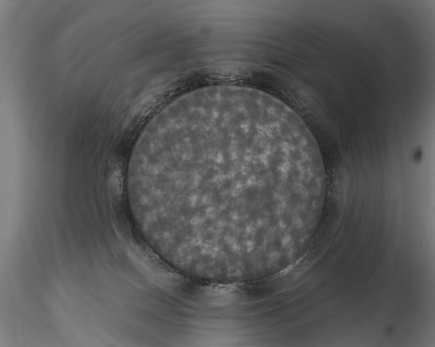 X0000115660086200912031342