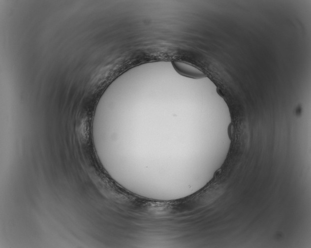 X0000115660088200912031342