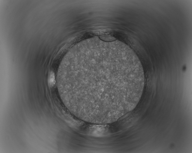 X0000115660089200912031342