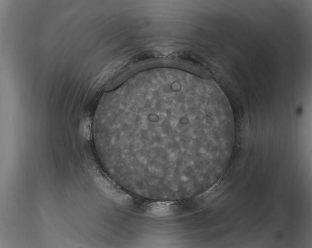 X0000115660090200912031342