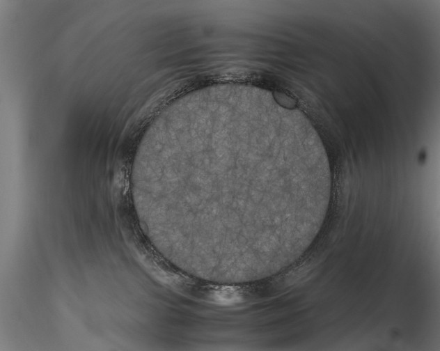 X0000115660091200912031342