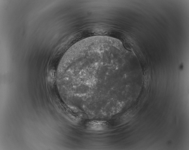 X0000115660093200912031342