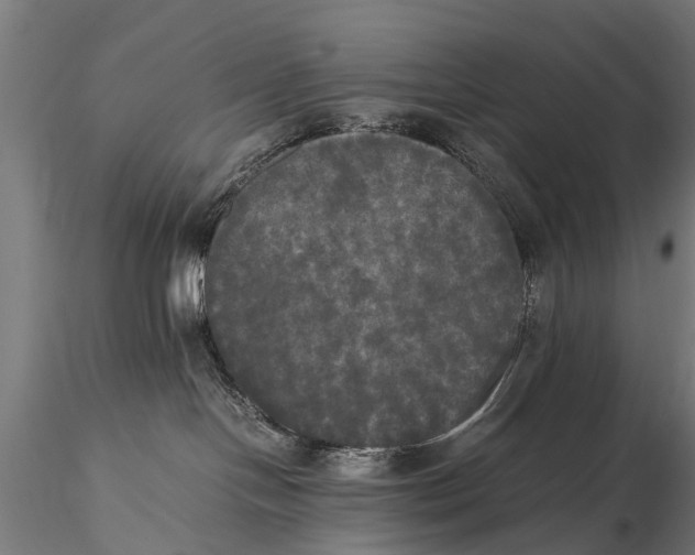 X0000115660094200912031342